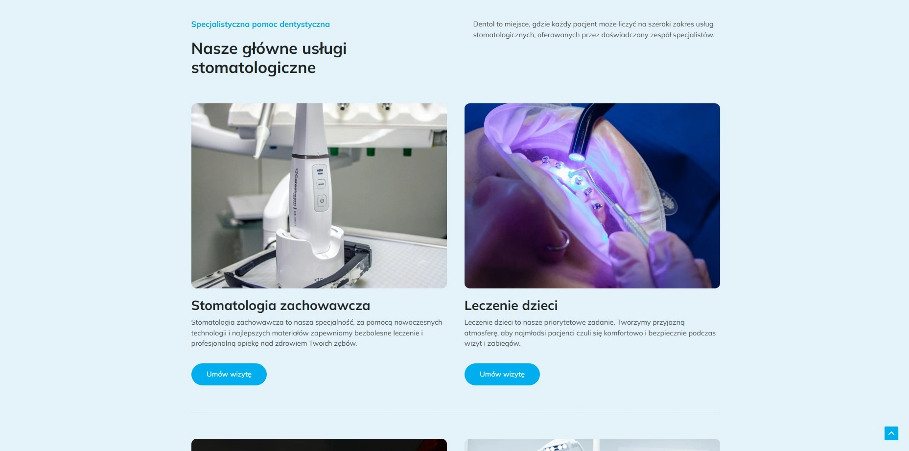 Drugie zdjecie podgladowe strony typu biznesowa
