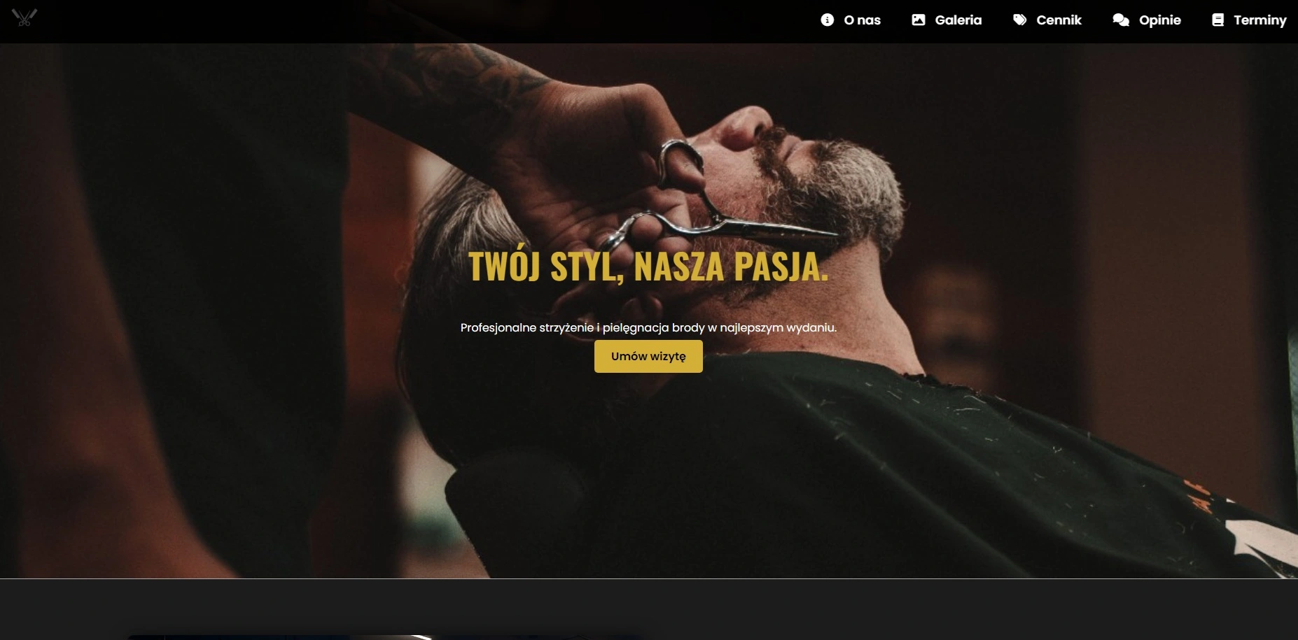 Zdjecie podgladowe strony typu wizytówka