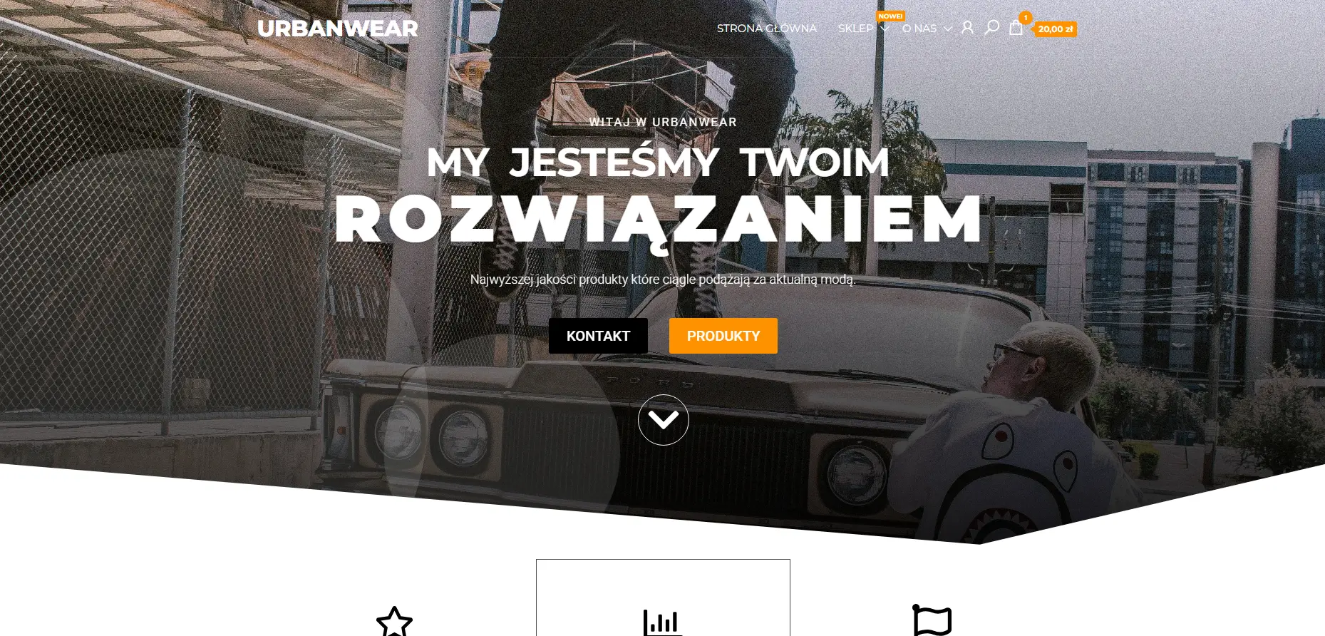 Zdjecie podgladowe sklepu internetowego